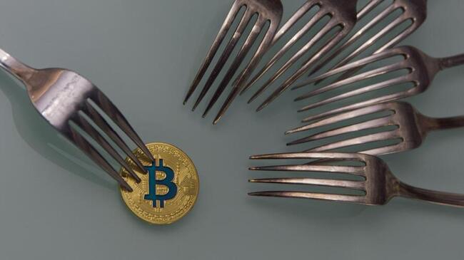 Corbin Fraser Clarifie l’origine du Bitcoin Cash