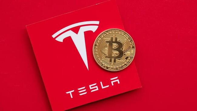 A Bitcoin felválthatja a technológiai portfóliókban a Teslát