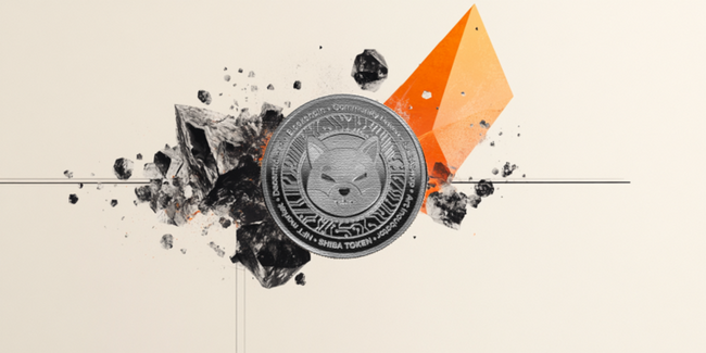 Shiba Inu Price Forecast: SHIB rallies as trading volume rises 228% amid increase in bullish bets
