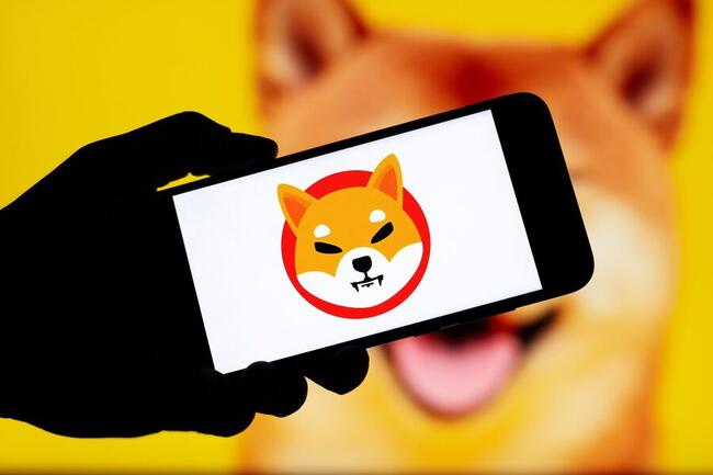 Spektakel bij Shiba Inu koers: waarom stijgt SHIB ineens zo hard?