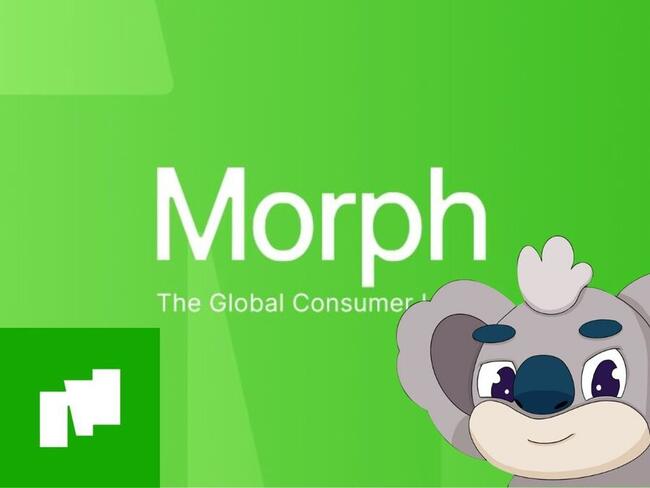 後 Layer 2 時代，Morph 是下一個空軍標的？最強U卡已誕生？一文詳解 Morph 願景丶產品