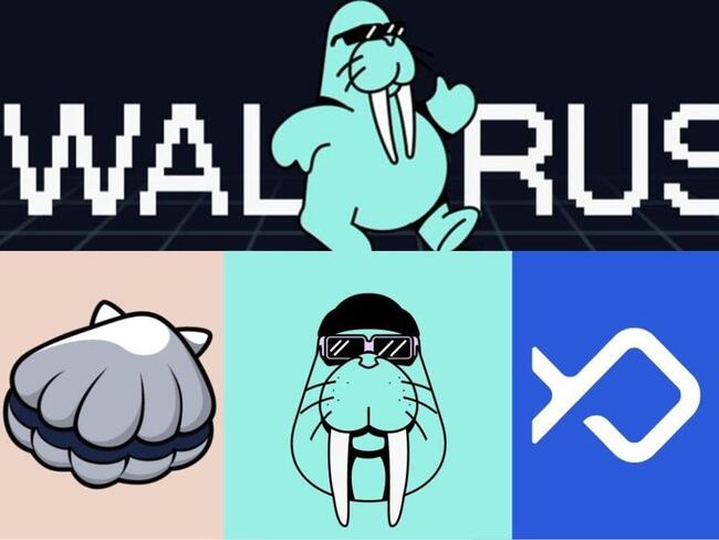 Walrus 引領 Sui DeFi 的春天！一文了解目前鏈上有哪些四位數年化收益的 DeFi 挖礦機會