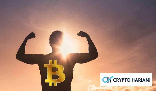 4 Aset Kripto Ini Punya Sinyal Kuat untuk Lonjakan Harga