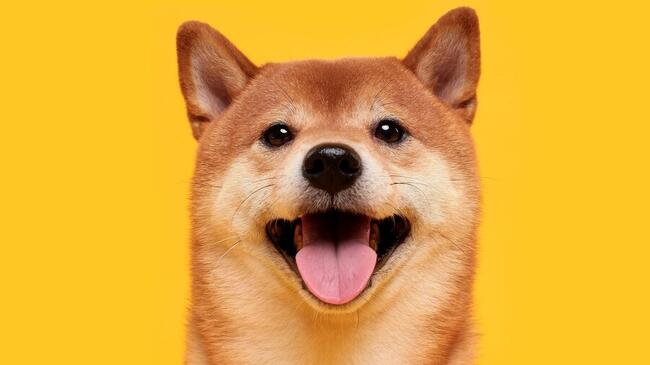 Dogecoin y Avalanche Lideran Recuperación Del Mercado de Criptomonedas