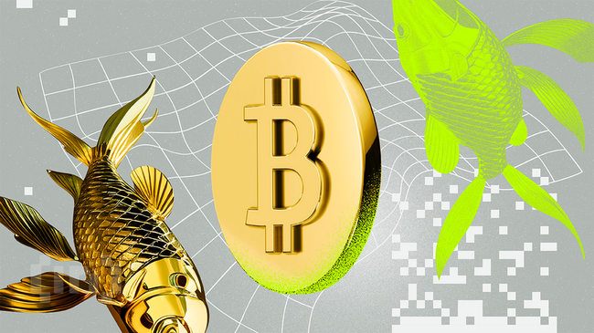 Bitcoin vs. Gold: Which Is the Best Investment In 2025?
