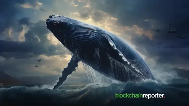 GSR Whale Deposits 4 Million WCT to Binance, WalletConnect Token Inflows Surge