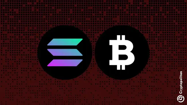 Bitcoin، Solana Retain Crypto Market هيمنة وسط Q1 2025 التباطؤ