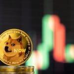 Enorme hoeveelheid dogecoin verkocht, toch gokt 72% op prijsstijging