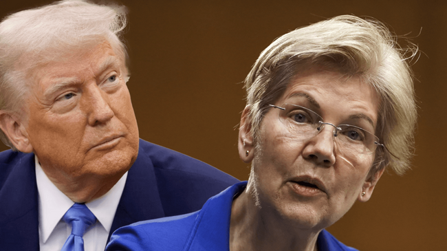 Elizabeth Warren: “Se il presidente Powell può essere licenziato, farà crollare i mercati”