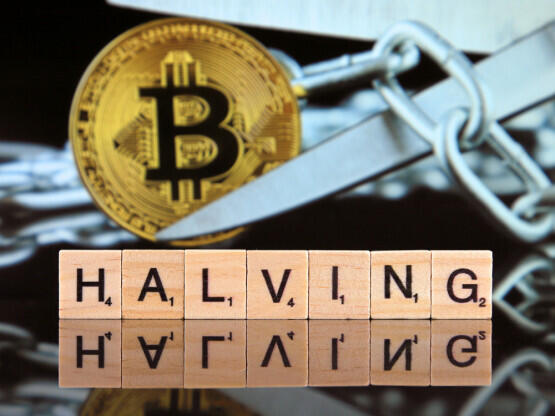 Bitcoin godinu dana nakon halvinga - hype ili nova realnost