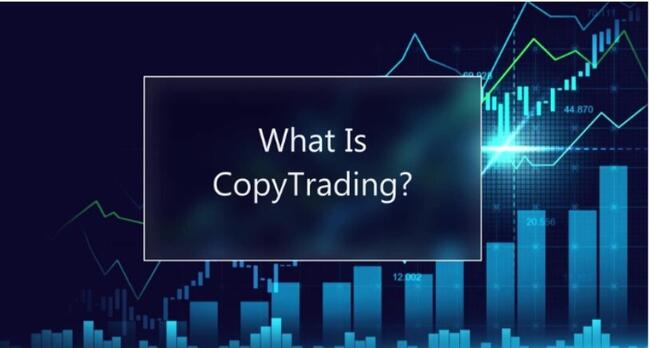 Top 10 Nền Tảng Copy Trading Uy Tín Tại Việt Nam 2025