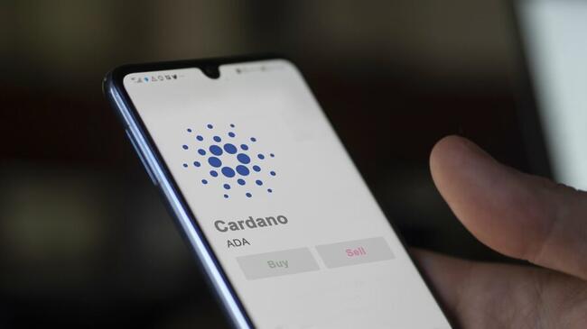 Cardano startet Midnight: Das ist der Grund, warum jeder auf den NIGHT-Airdrop wartet