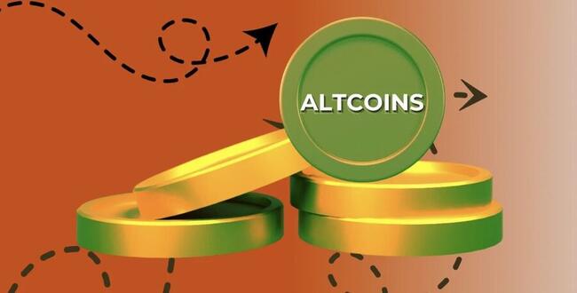 “Đồng Coin Yêu Thích Của Mọi Người” Sắp Lao Dốc 50%? – Chuyên Gia Huyền Thoại Lên Tiếng