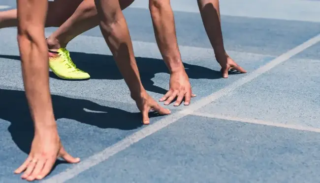 Veja como será corrida de espermatozoides com apostas em criptomoedas que acontece nesta semana