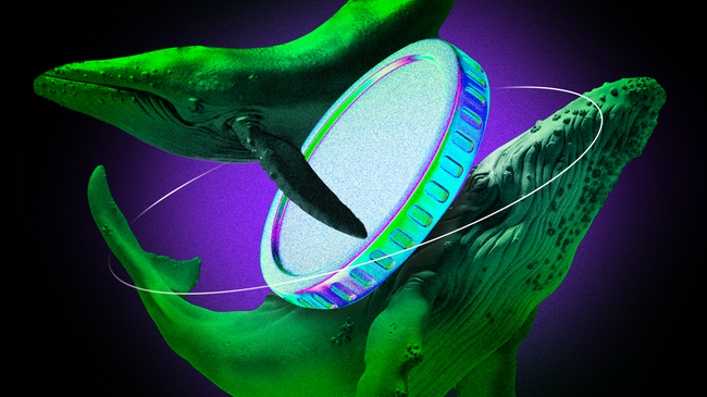 What Crypto Whales are Buying For May 2025