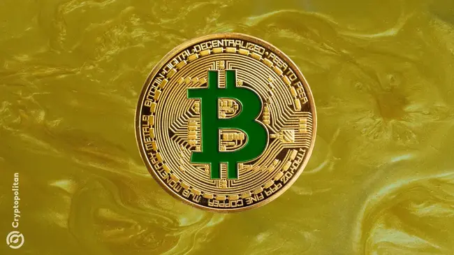 Gold and Bitcoin are rallying together, Is the Dollar in trouble?