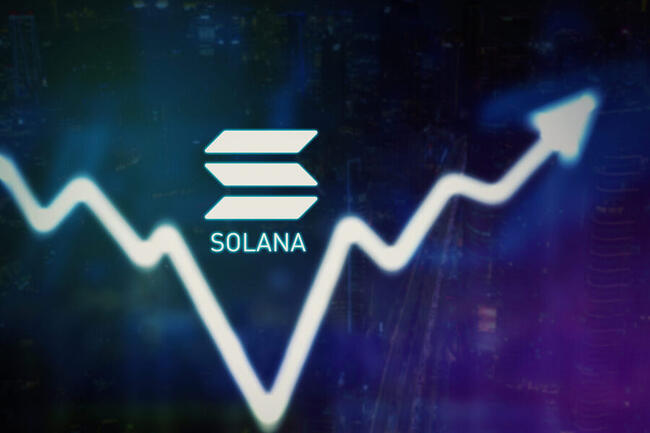 Cá voi đổ xô mua Solana; Liệu SOL có sắp có động thái lớn nào không?