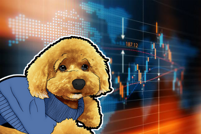 ビットコインに光、株式市場に影──二極化するマーケットに現れる危険な兆候【仮想通貨相場】