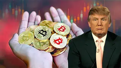 Скільки втратив крипторинок з моменту повернення Трампа в Білий дім