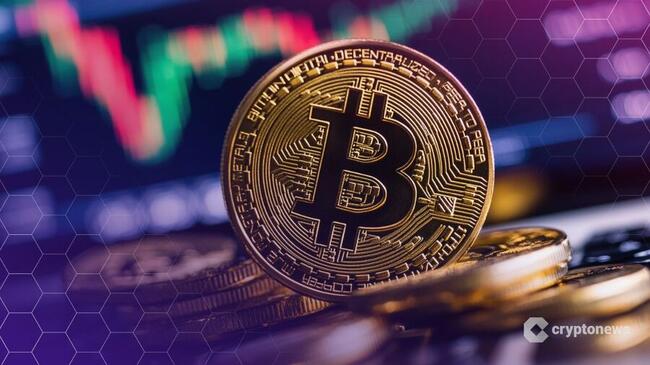 비트코인 ETF, 3억달러 유입으로 1월 이후 최대 일일 순유입 기록