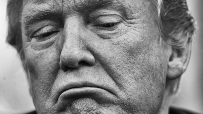 TRUMP и MELANIA Монеты-мемы Взлетели После Предложения Ужина в Вашингтоне для Ведущих Владельцев