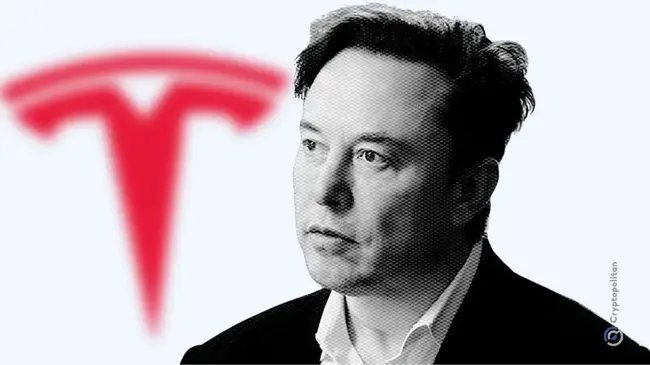 Tesla flags global anti-Musk protests as a threat in new SEC filing