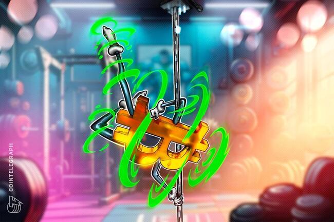 ビットコインの長期保有者　保有資産が260億ドル増加　BTC価格が30％の調整から回復