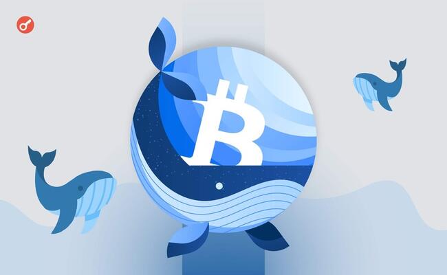 Невідомий кит перемістив 50 BTC після 15 років сплячки