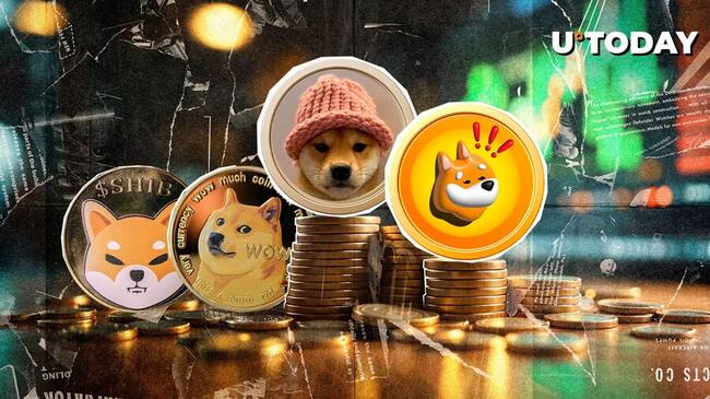 BONK, WIF Beats SHIB, DOGE in Gains Amid BTC Boom