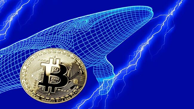 Egymilliószoros hozam: 15 évet várt egy bitcoin bálna