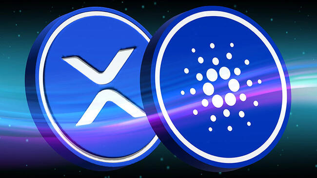 カルダノウォレット「Lace」仮想通貨XRPもサポートへ｜ホスキンソン氏がAMAで近況報告