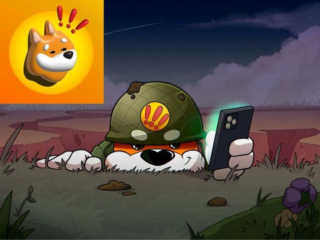 BONK 攜手 Raydium 推出發射平台 Bonk Fun，Solana 迷因幣市場陷入多家競爭