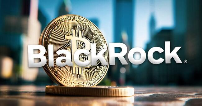 Blackrock đang nắm giữ bao nhiêu bitcoin? Con số khiến giới đầu tư bất ngờ