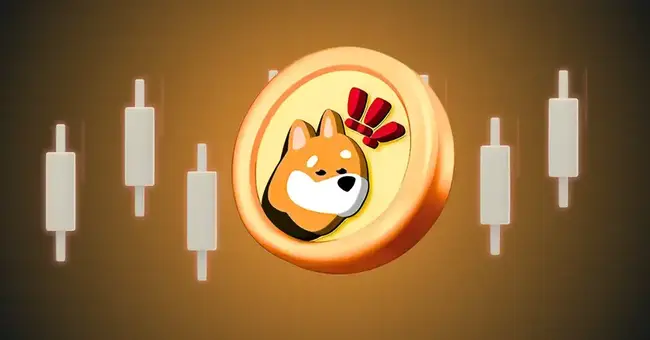 Why BONK Coin Price is Up Today? 