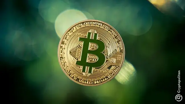 Bitcoin bulls are back? BTC ETFs post $3B weekly inflow