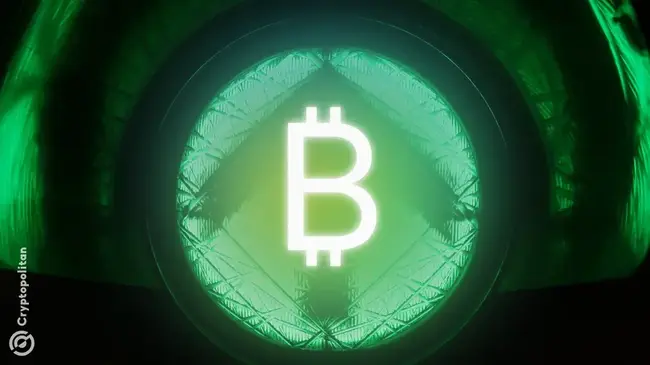 يقول المدير التنفيذي لشركة Blockstream إن الشركات التي تركز على Bitcoinلقيادة الحد الأقصى للسوق بقيمة 200 تريليون دولار