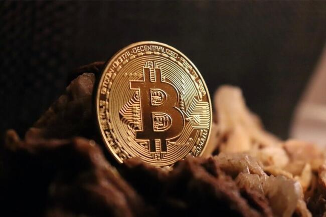 Eksperci są zgodni – do takiej wysokości skoczy Bitcoin w tym roku!