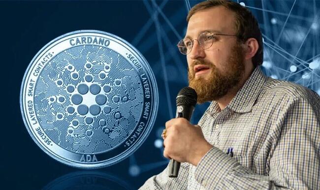 Nhà sáng lập Cardano xác nhận tích hợp XRP và airdrop Midnight cho holder