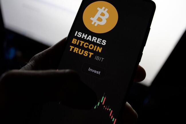 Bitcoin en XRP blijven stabiel terwijl BlackRock’s BTC-fonds schittert