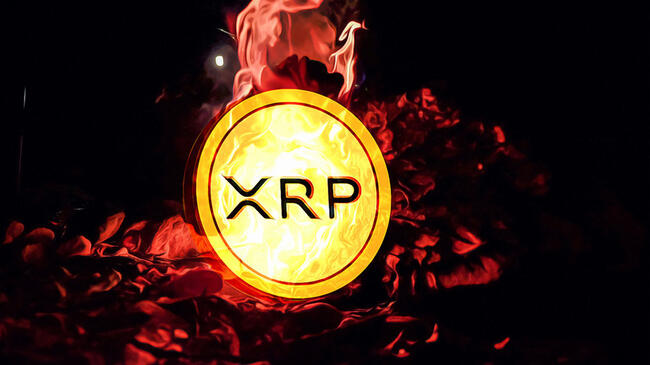 El CEO de Ripple Genera Optimismo con una Visión Audaz para XRP y Phaces Transfronterizos