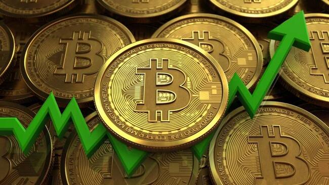 Bitcoin ETFs Extend Inflow Streak to Seven Days With $591 Million Boost
