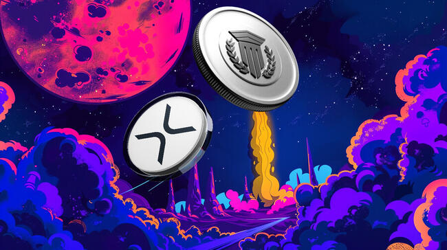 Dogecoin의 2021 랠리를 반복하고 영원히 인생을 바꿀 수있는 2 개의 알트 코인