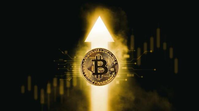 Биржевые фонды на биткойны достигли восьмого дня подряд успехов с притоком в $173 миллиона.
