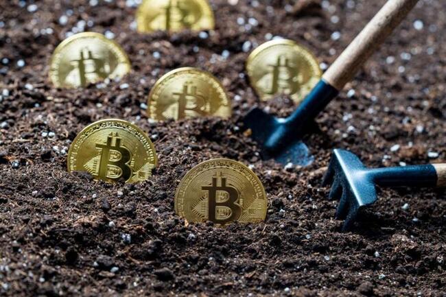 Bitcoin Is No Longer Just Digital Gold — Native Staking, Yield Are Redefining Its Role, Says Core DAO