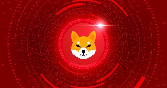 Shiba Inu pode subir 1.000% em poucos dias, aponta análise
