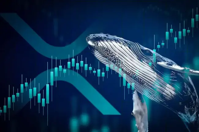 Can XRP Price Reach $3 This Week? Bullish Pattern Emerges as Whale Opens $5M Long Position