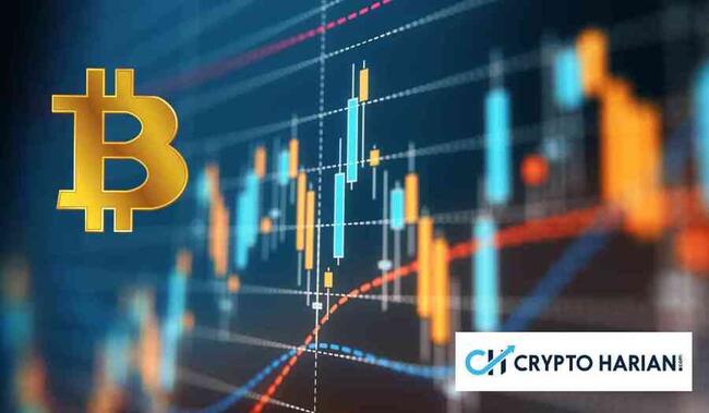 Analisis 5 Kripto Meme Kapitalisasi Besar: DOGE, SHIB, BONK, FLOKI, WIF
