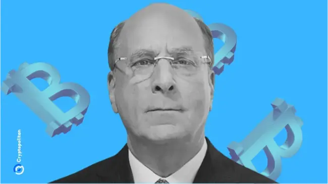 BlackRock’s Fink points to idle trillions of dollars in the market amid volatility