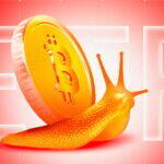 Byczy ruch BTC bez euforii napływów do Bitcoin ETF