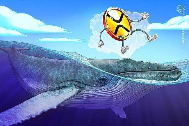 La storia si ripete? Ultima volta che i flussi delle whale hanno invertito la tendenza, il prezzo di XRP è aumentato del 400%